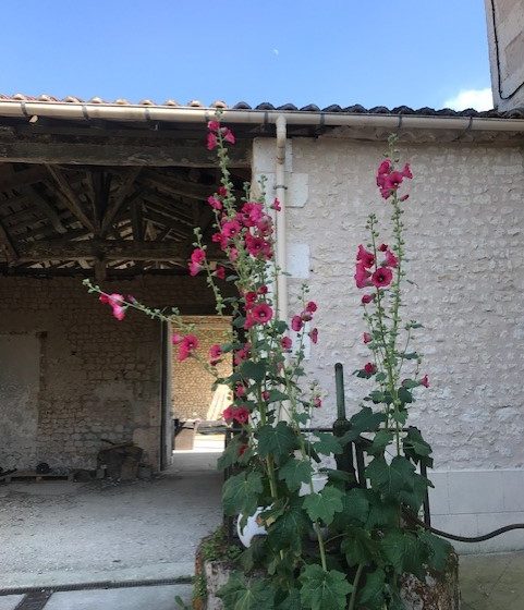 Chambre d’hôtes – Domaine de Beauséjour -6 pers