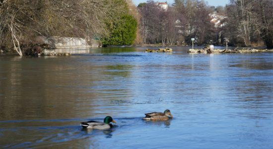 Promenade urbaine « Au fil de la Touvre »