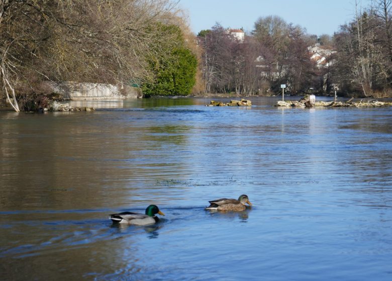 Promenade urbaine « Au fil de la Touvre »