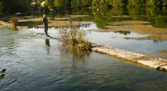 Promenade urbaine « Au fil de la Touvre »