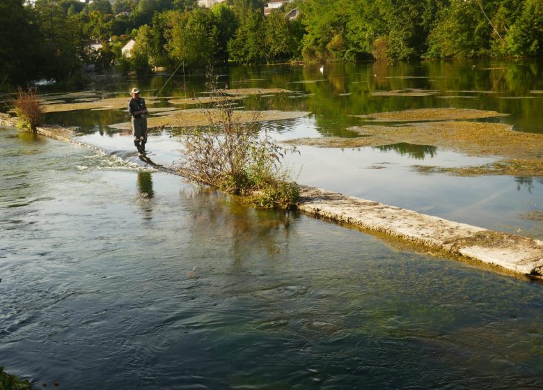 Promenade urbaine « Au fil de la Touvre »
