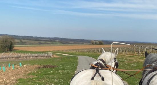 Les visites hippomobiles Bourgoin Cognac