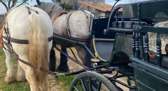 Les visites hippomobiles Bourgoin Cognac