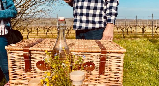 Les visites hippomobiles Bourgoin Cognac