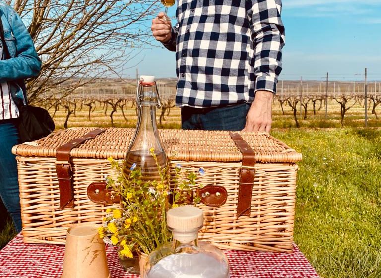 Les visites hippomobiles Bourgoin Cognac