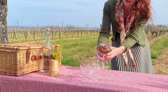 Les visites hippomobiles Bourgoin Cognac