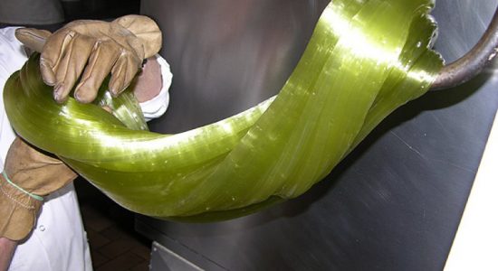 Visite guidée – Chocolaterie Letuffe