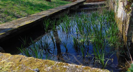 Circuit du chemin Henri IV