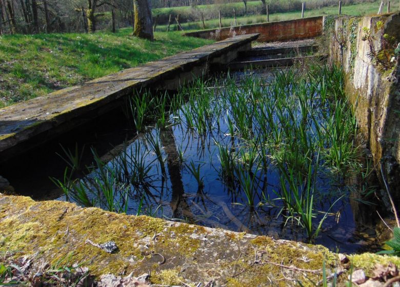 Circuit du chemin Henri IV