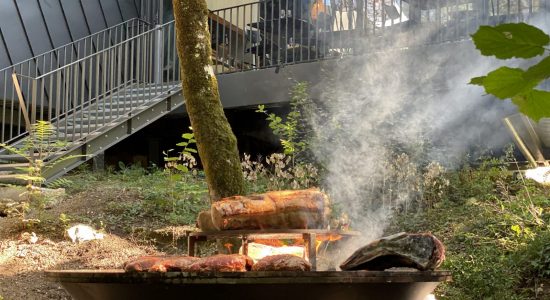 La Forêt des Sources