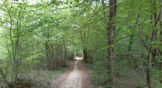 Circuit des asphodèles