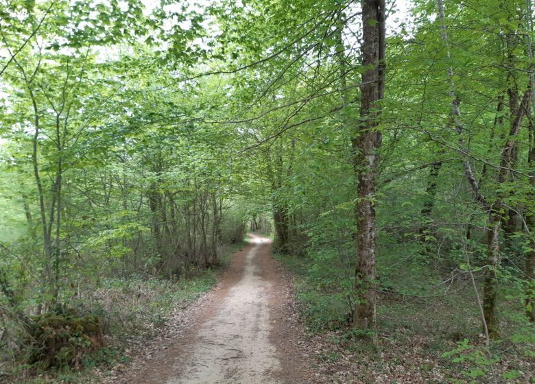 Circuit des asphodèles