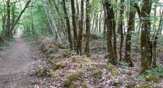 Circuit des asphodèles