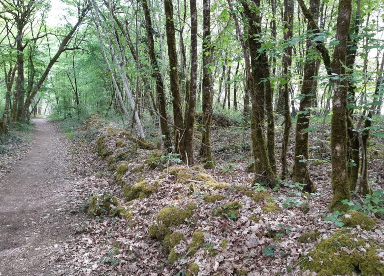 Circuit des asphodèles