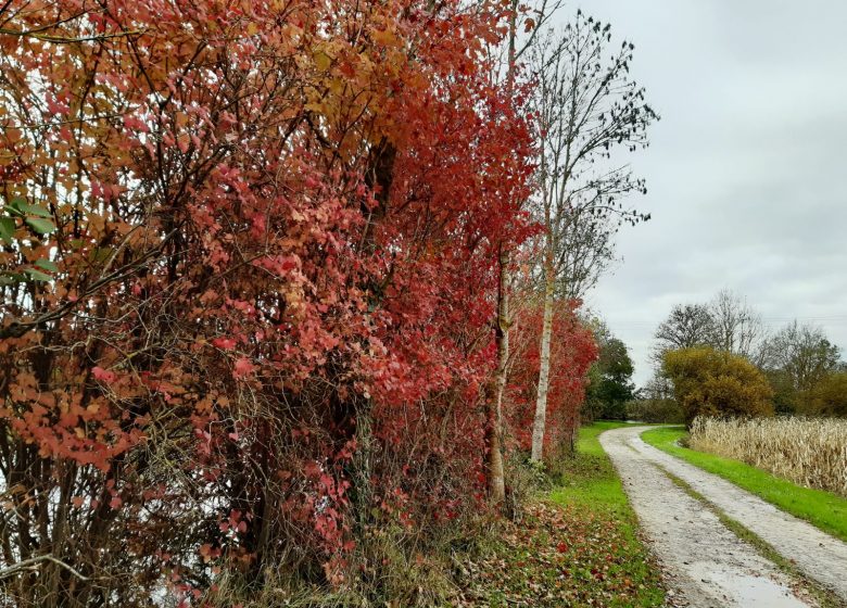 Le petit tour de Sireuil