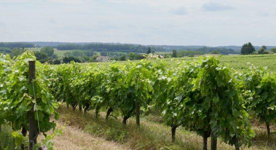 Le petit tour de Sireuil