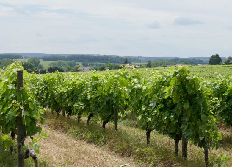 Le petit tour de Sireuil