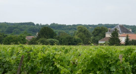 Circuit des vignes