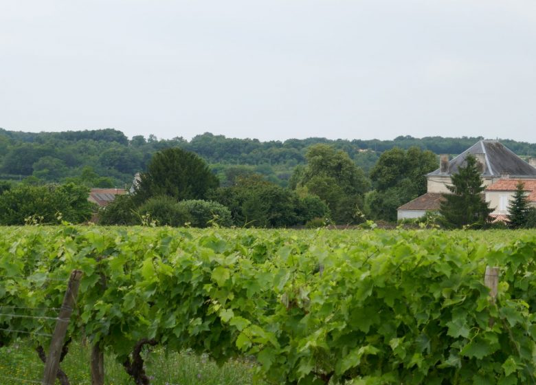 Circuit des vignes