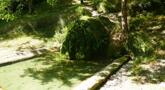 Circuit de la fontaine de Tonne