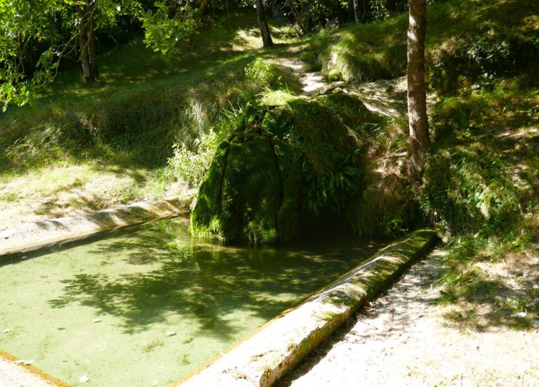 Circuit de la fontaine de Tonne