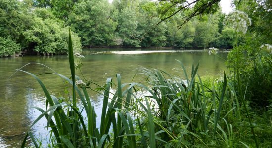 Circuit de la fontaine de Tonne