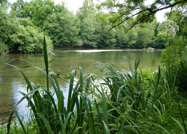 Circuit de la fontaine de Tonne