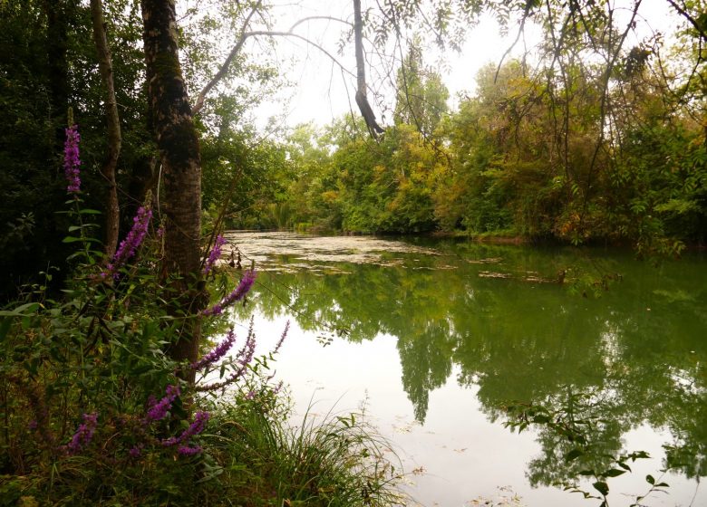 Circuit du fleuve Charente et des vignes