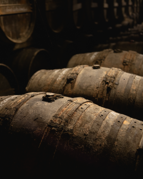 Visite initiation Passion Dégustation – Domaine Abk6