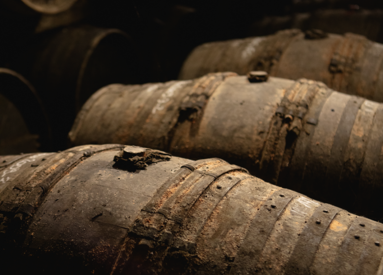 Visite initiation Passion Dégustation – Domaine Abk6