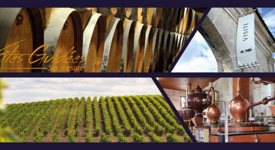 Visite initiation Passion Dégustation – Domaine Abk6