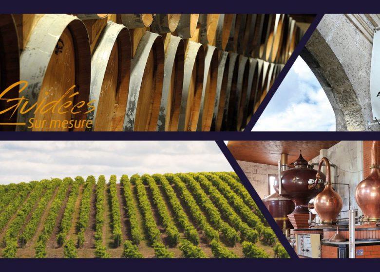 Visite initiation Passion Dégustation – Domaine Abk6