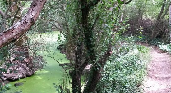 Circuit VTT 9 km Saint-Yrieix