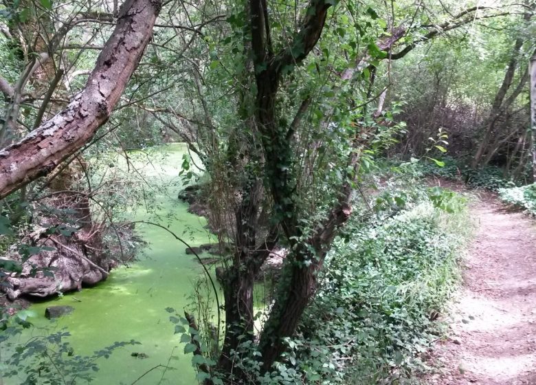 Circuit VTT 9 km Saint-Yrieix