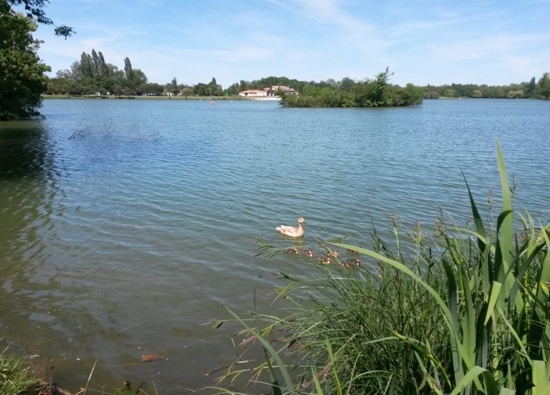 Circuit VTT 18 km Saint -Yrieix