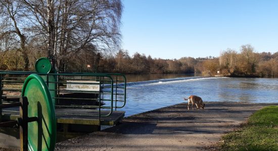 Circuit VTT 18 km Saint -Yrieix