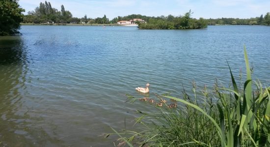 Plan d’Eau de la Grande Prairie – Station Sports Nature