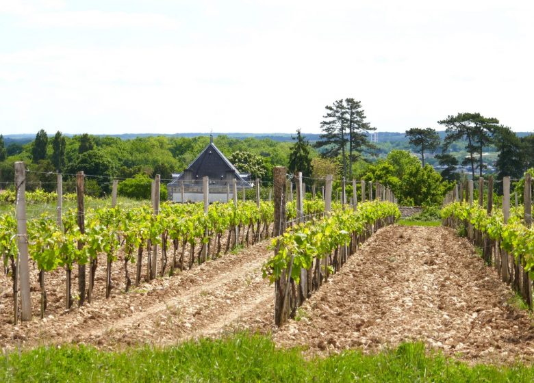 Circuit entre fleuve et vallée