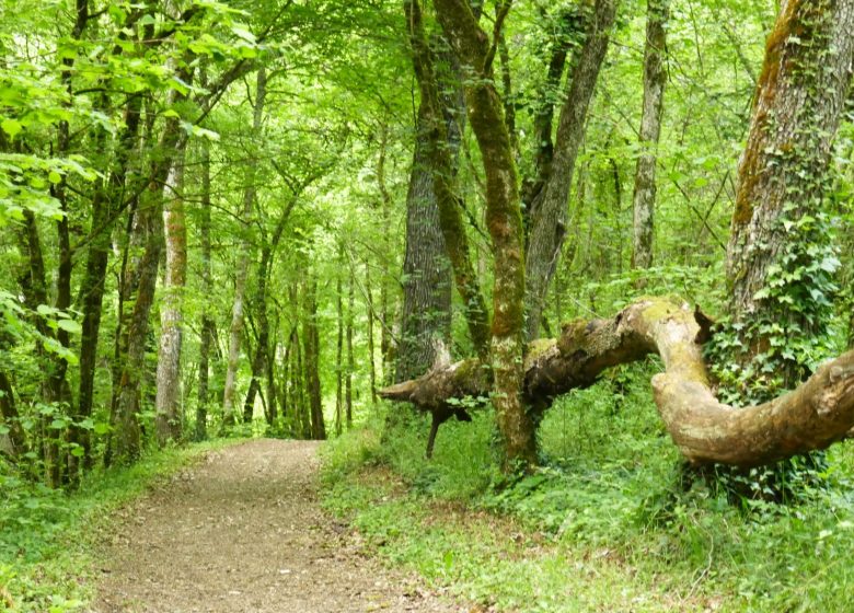 Circuit entre fleuve et vallée