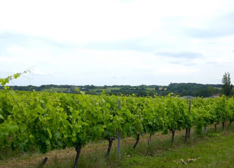 Circuit entre fleuve et vallée