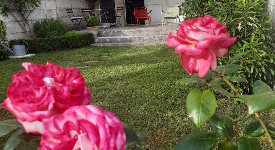 Les Jardins de la Cathédrale