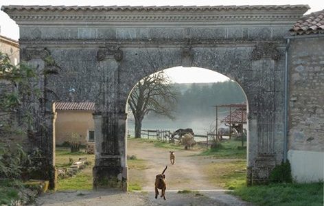 Domaine de Chantemerle