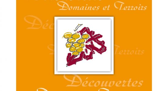 Conseil en vins et spiritueux – Sommelière conseil