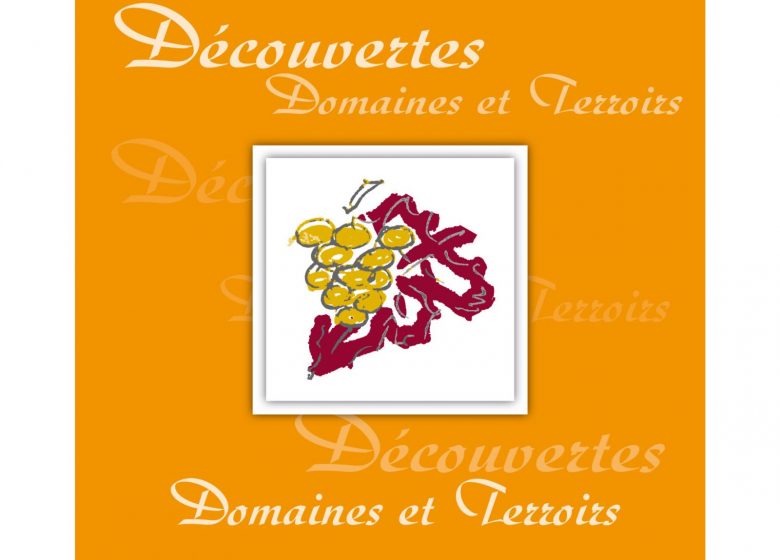 Conseil en vins et spiritueux – Sommelière conseil