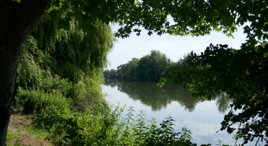 Circuit des bords de Charente