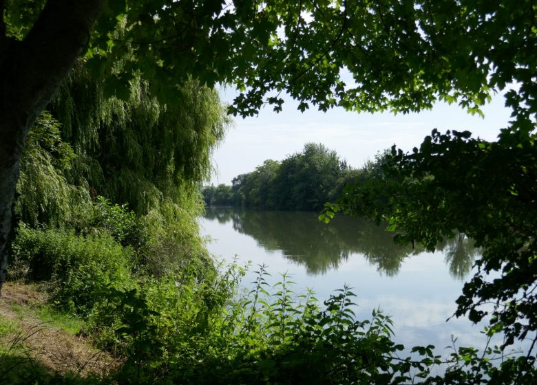 Circuit des bords de Charente