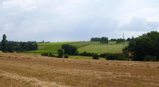 Circuit des bords de Charente