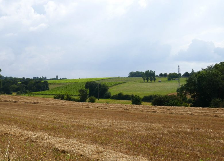 Circuit des bords de Charente