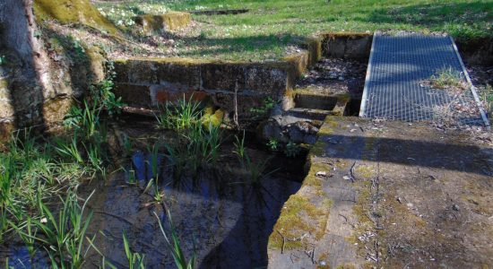 Circuit du chemin Henri IV