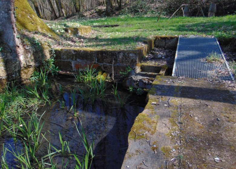 Circuit du chemin Henri IV